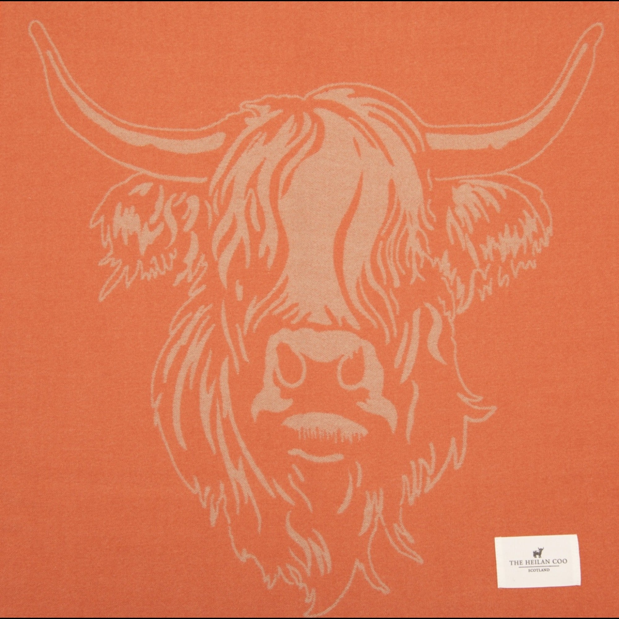 Heilan Coo Super Soft Scarf - Apricot/Peach